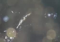 2879097 B