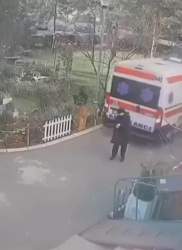 3368690 B