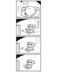 96905 B