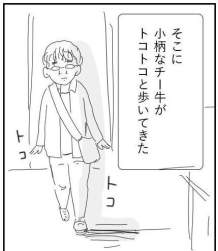 32655 B