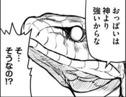 49776 B