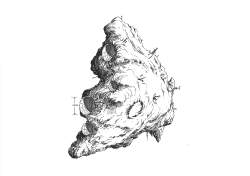 57094 B