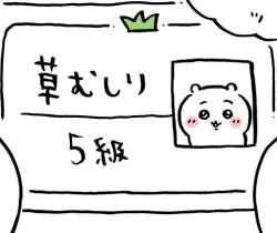 56262 B