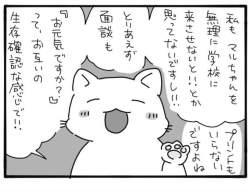 65955 B