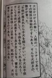 39587 B
