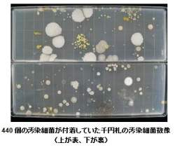 54059 B