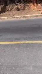 1715882 B