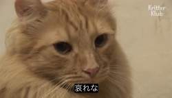 126814 B