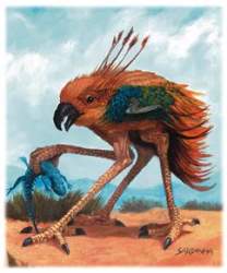 17338 B
