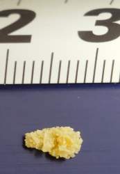 1006829 B