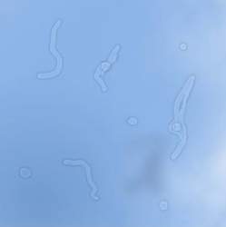 142198 B