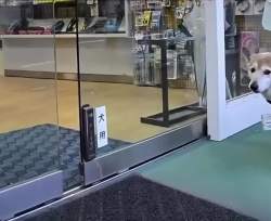 1029498 B