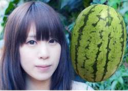 48802 B