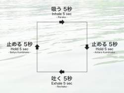 702266 B