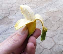 52545 B