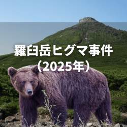 752681 B