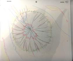 238843 B