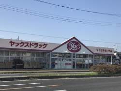 495281 B