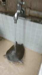 353755 B