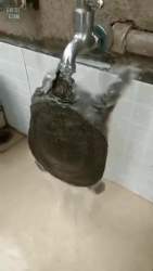 1775154 B