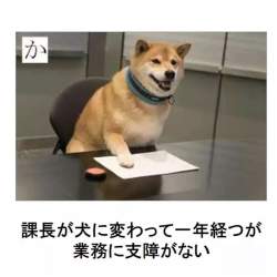 97837 B