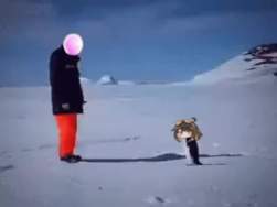 494364 B