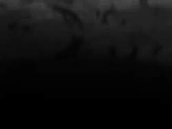8101732 B
