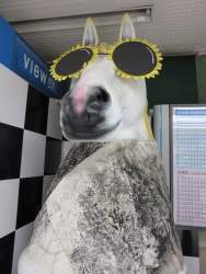 118194 B