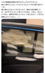 274982 B