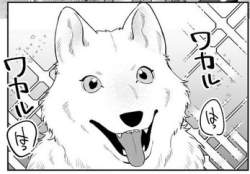 23795 B