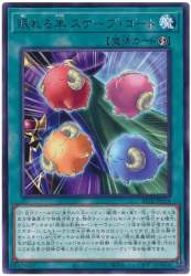 65804 B