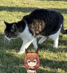 756802 B