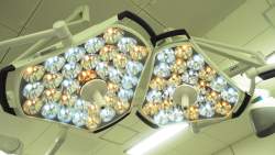 268306 B