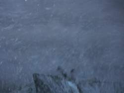 7986589 B