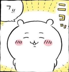 16093 B