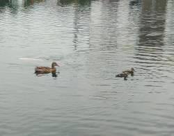 542283 B