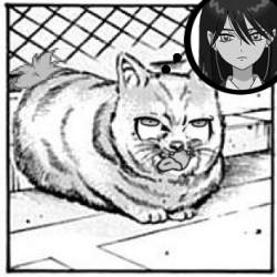 71381 B
