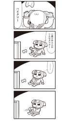 54064 B