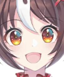 53196 B