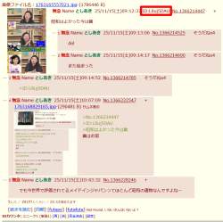 256481 B