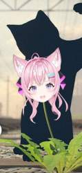 60487 B