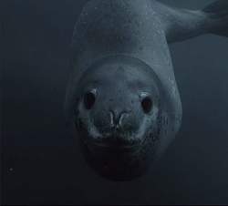 20319 B