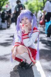 1084242 B
