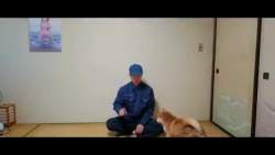 7299116 B