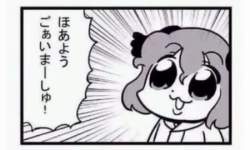 1068187 B