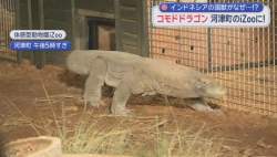 43148 B